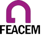 Login logo Feacem